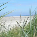 Sandpeter 1